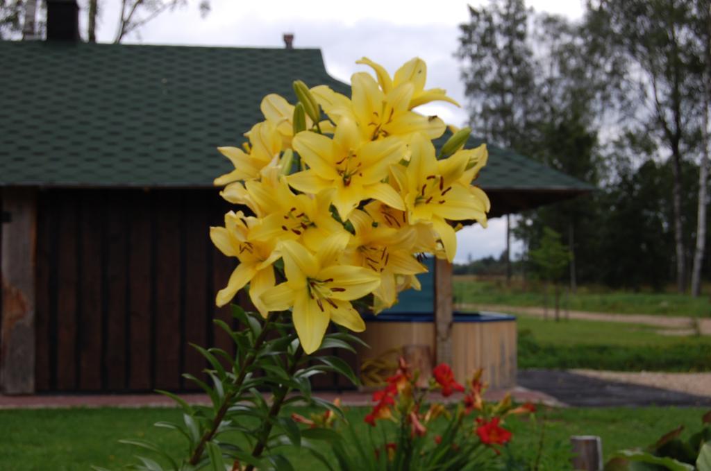 Spa Glamping Kirikumoisa Buitenkant foto