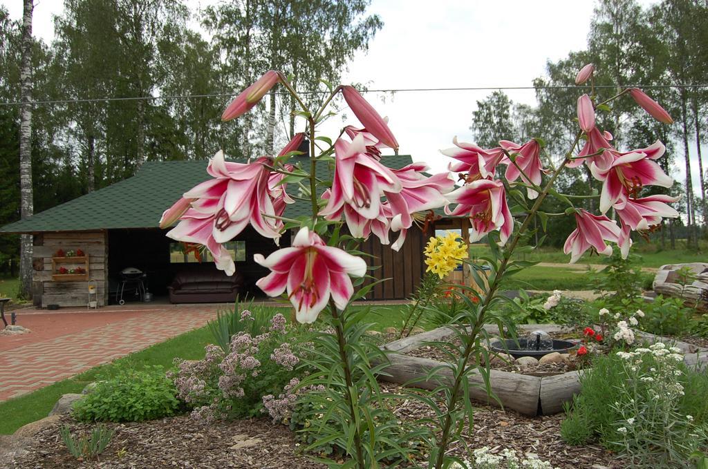 Spa Glamping Kirikumoisa Buitenkant foto